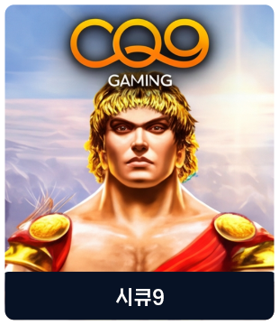 시큐9